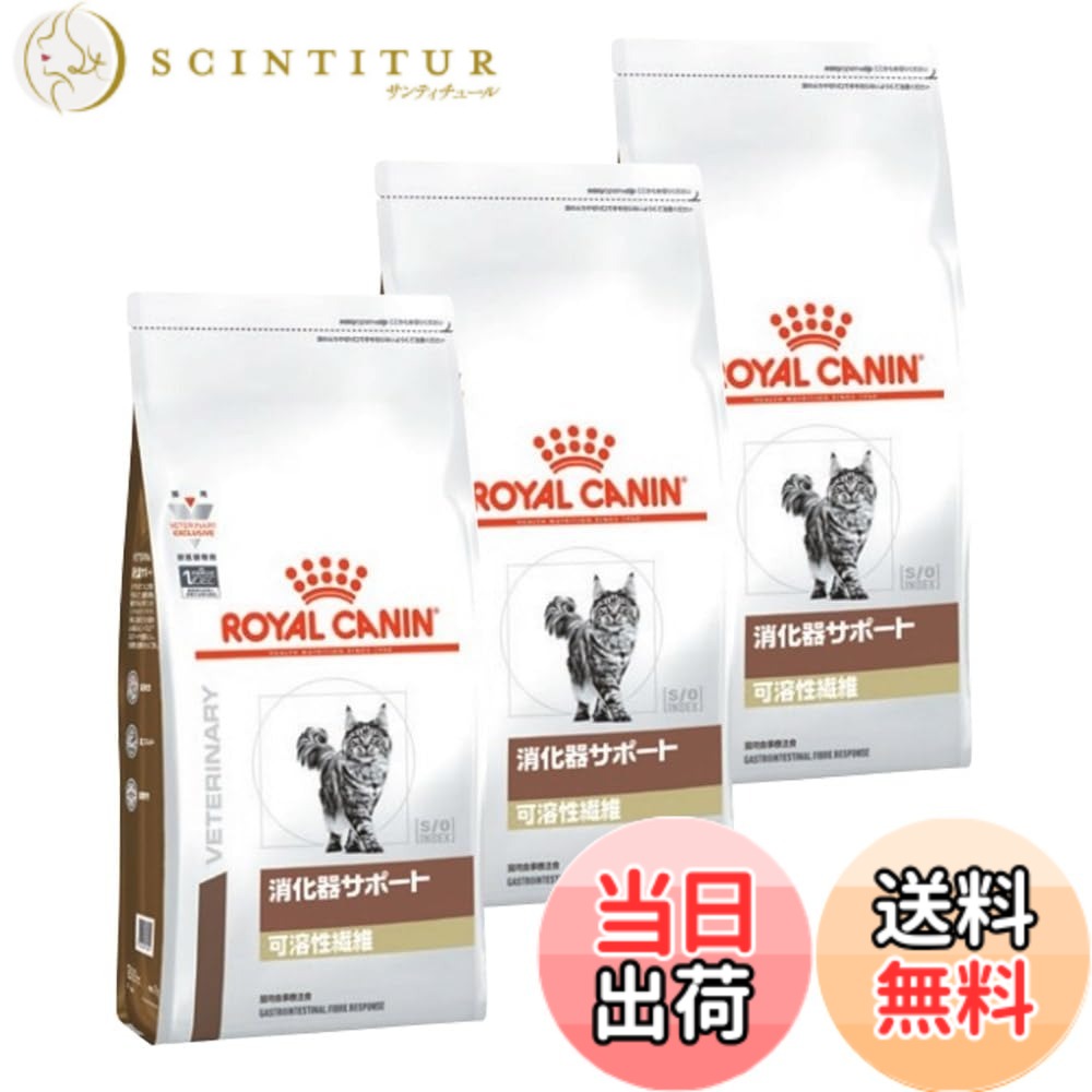 【貨物輸送無料】ロイヤル聖地 PET_FOOD 大きさ：3
