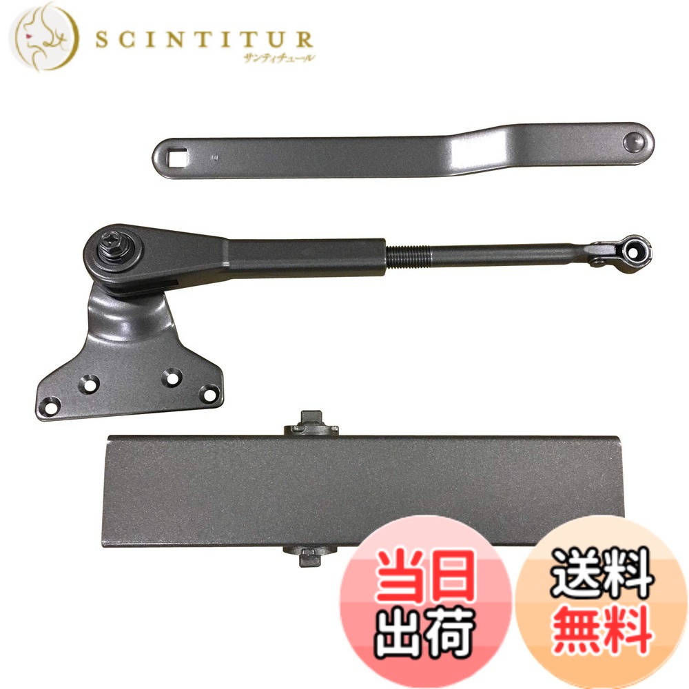 【貨物輸送無料】リョービ(Ryobi) ドアクローザー S-22マイコン-1 色：メタリックブロンズ、大いさ：幅900x高さ2100粍