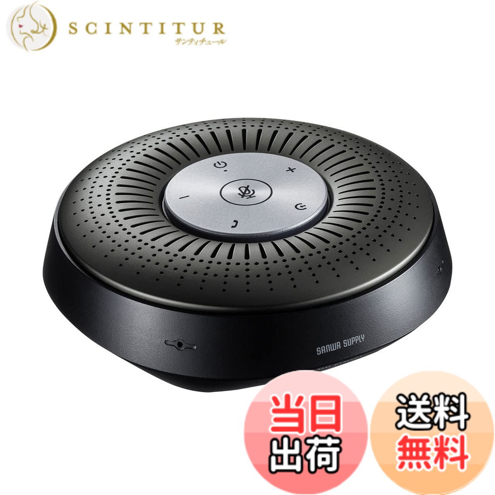 【貨物輸送無料】サンワサプライ 金棒引き電話機 Bluetooth/USB/オーディオ手玉繋ぎ合わせる 残響音＆ノイズキャンセリング積み上げる MM-BTMSP1 色：鵞鳥メタ