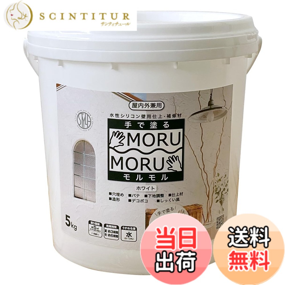 【貨物輸送無料】ニッペ 絵の具 絵の具 STYLE MORUMORU 色：白いこと、大きさ：5kg