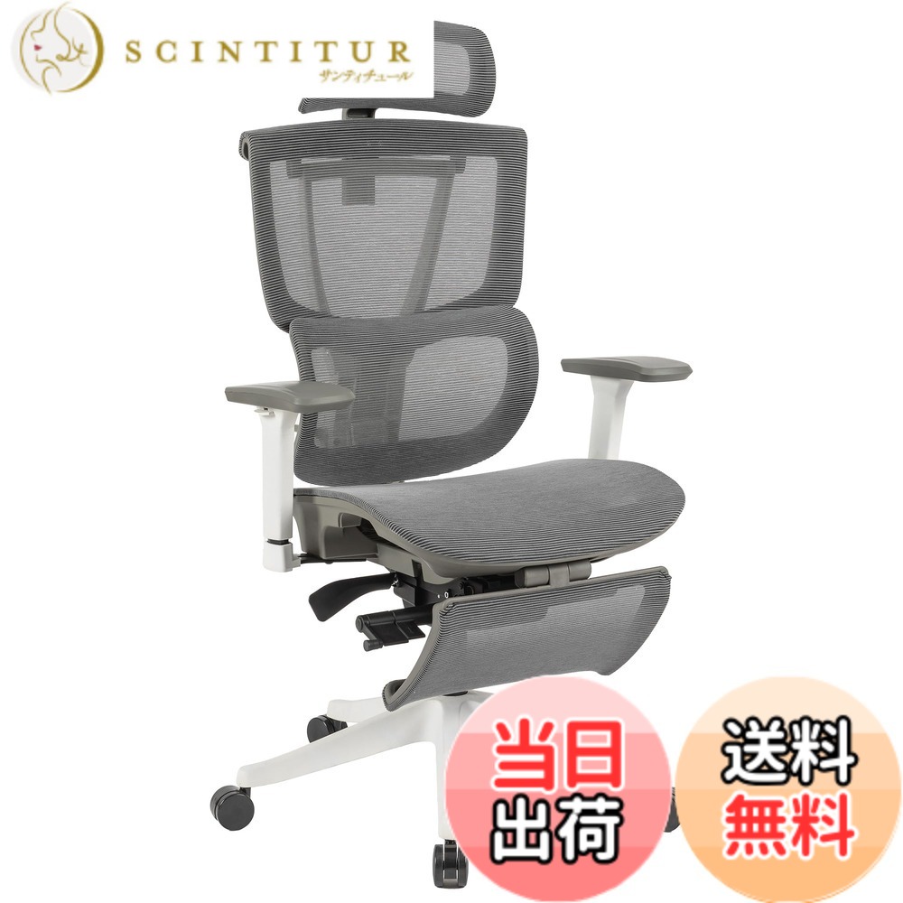 【送料無料】FLEXISPOT オフィスチェア デスクチェア C7 人間工学 エルゴノミクスチェア メッシュチェア 独立型ランバーサポート リクライニング可能 シンクロロッキング 無段階固定 前傾チルト機能 座面奥行調節 360度回転可能なアームレスト 色:グレー、サイズ:大型|サンティチュール