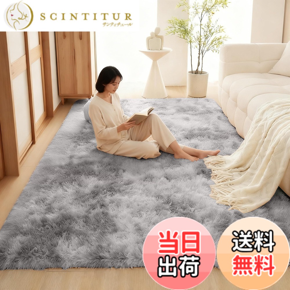 【送料無料】カーペット ラグマット HOSUR 北欧 長方形 ラグ シャギーラグ 絨毯 低反発 ふわふわ 厚手 洗えるラグ 滑り止め付き オールシーズン 色：ライトグレー、サイズ：200x250cm｜サンティチュール