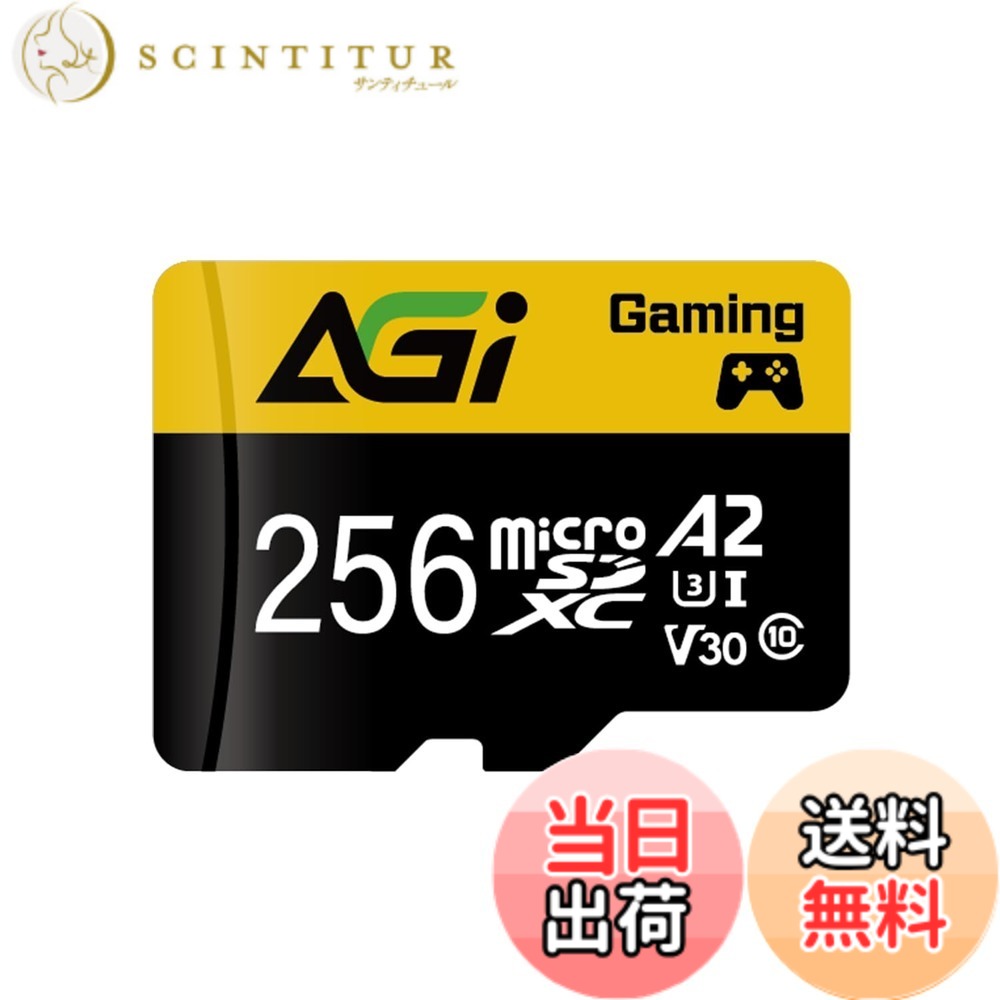 【貨物輸送無料】AGI TF138 MicroSDXC 記憶装置歌留多 色：黒いこと///白いこと、大きさ：256GB
