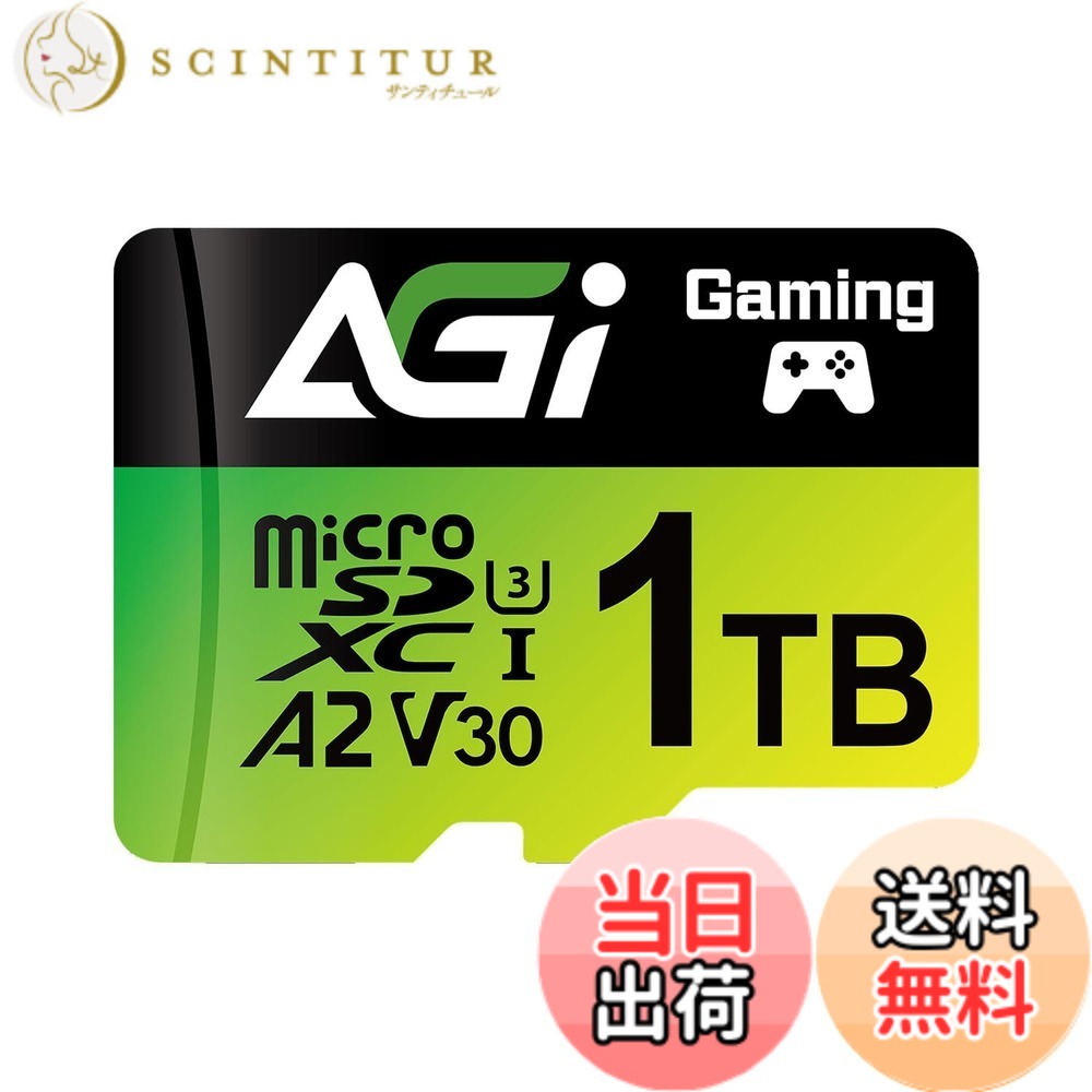 【貨物輸送無料】AGI 1結核症 マイクロsd歌留多 TF138, Nintendo Switch 1 動くこと突き止める済. 弾丸道路 MicroSDXC A2 U3 V30 UHS-I U3 (読み出しす早さ最大限度170MB/s) Full 固定ディスク \u0026 4K UHD映画化 SDアダプタ1枚付き添い人 色：緑であること、大きさ：1結核症