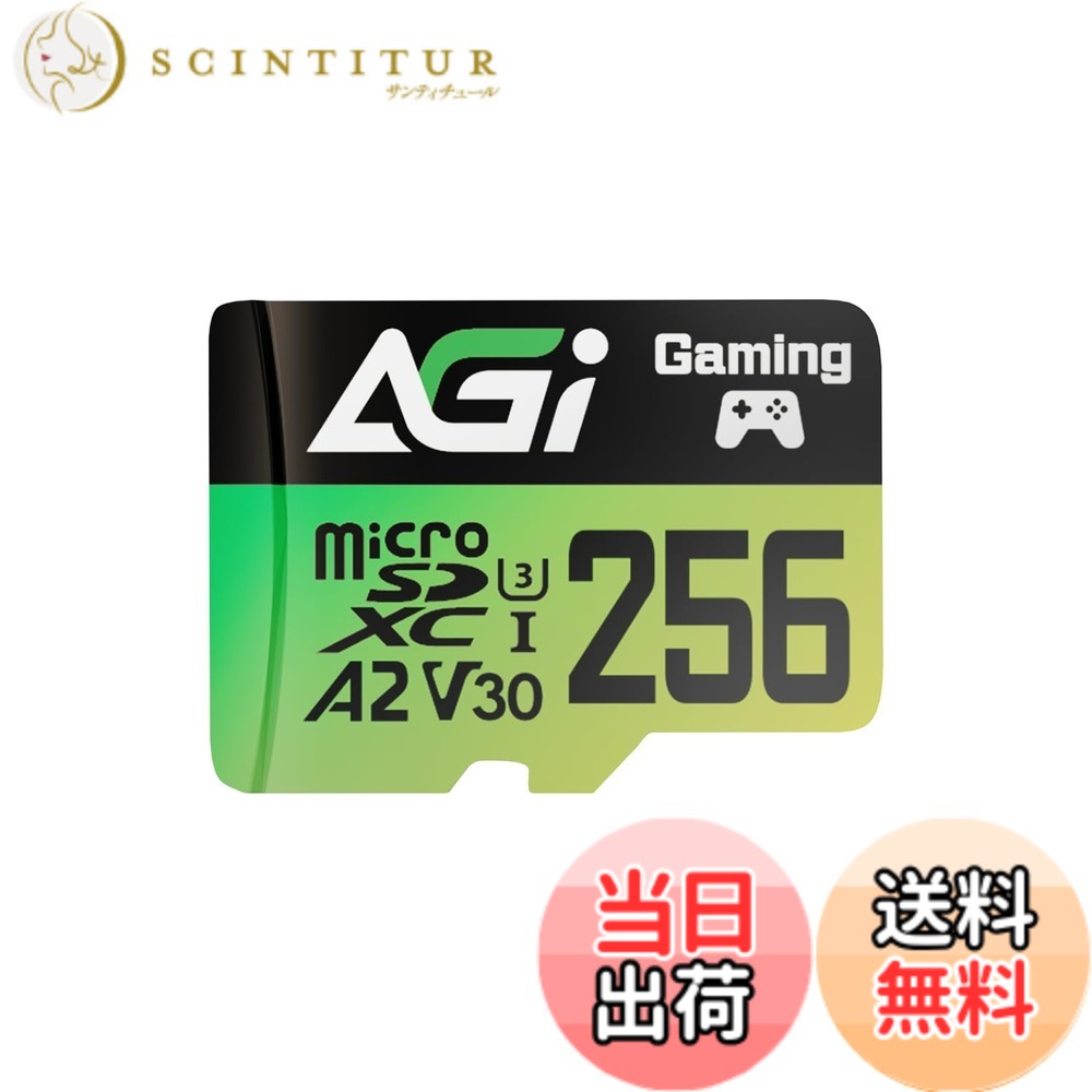 【貨物輸送無料】AGI 256GB MicroSD 高速道路 記憶装置歌留多 A2 U3 V30 4K C10(読み込み・書きとどめる速力度170/160MBs) TF138 マイクロsd歌留多 色：緑であること、大きさ：256 GB