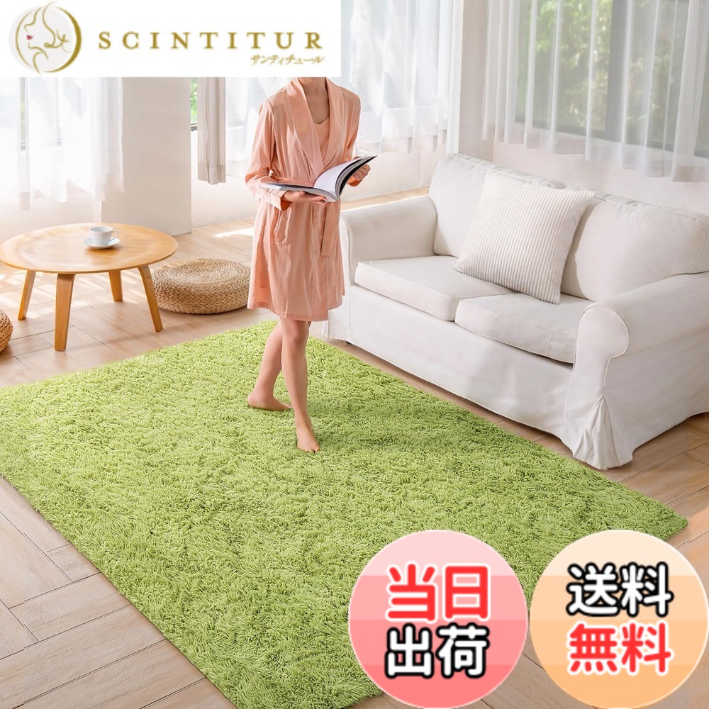 【送料無料】Beddiny カーペット ラグ ホットカーペット 色：グリーン、サイズ：200*300cm｜サンティチュール