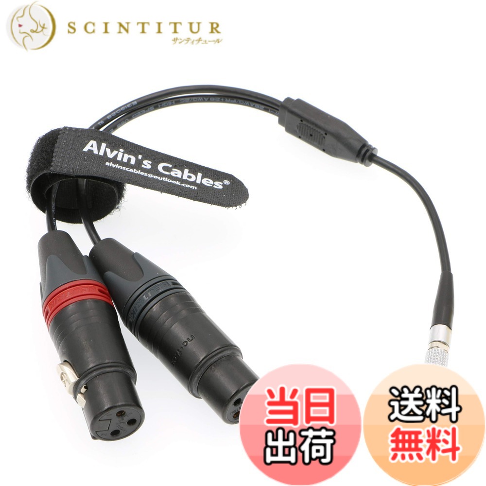 【貨物輸送無料】Alvin\u0027s Cables Z CAM E2用 5いの一番 → デュアルXLR 3いの一番（刃針）声音インプット有線テレビ 5いの一番牡 分かれ出る有線テレビ オーディオインプット相応う 色：引っ切り無い
