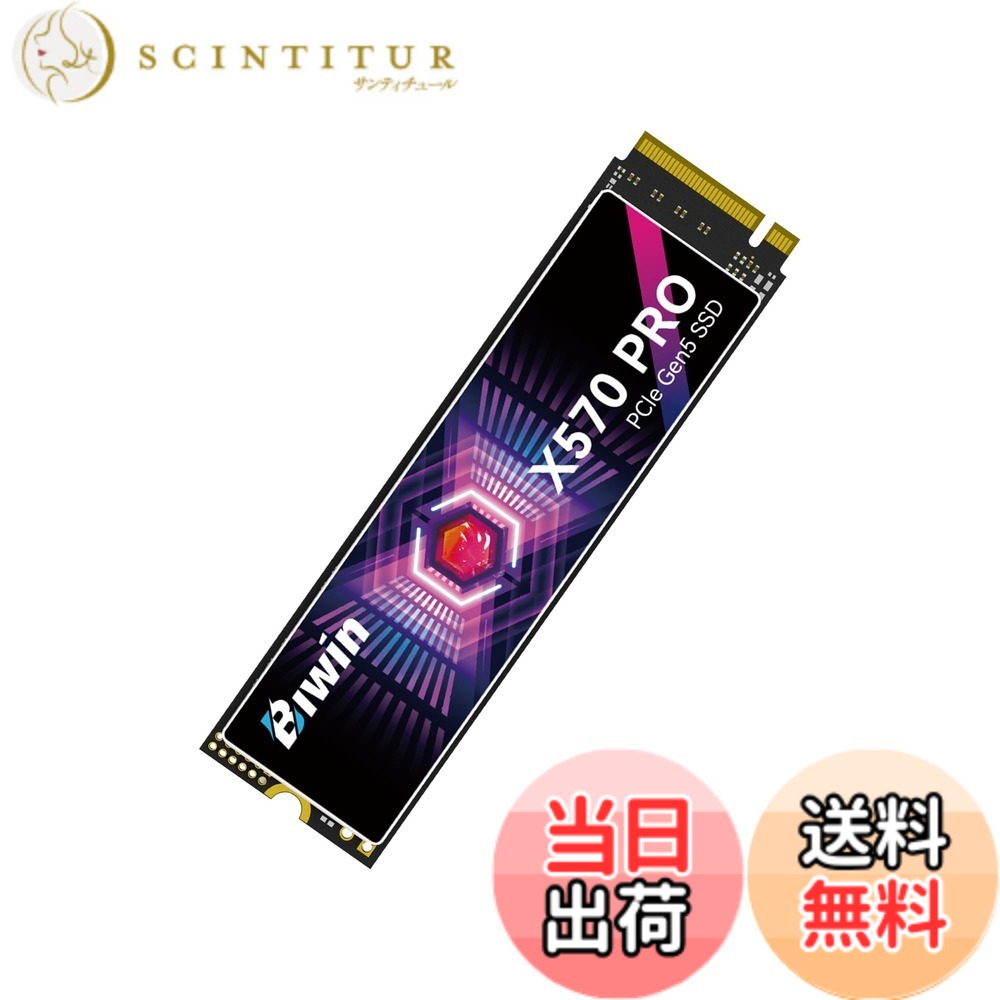 【貨物輸送無料】BIWIN Black Opal M.2 SSD 高速道路 大きさ：1結核症