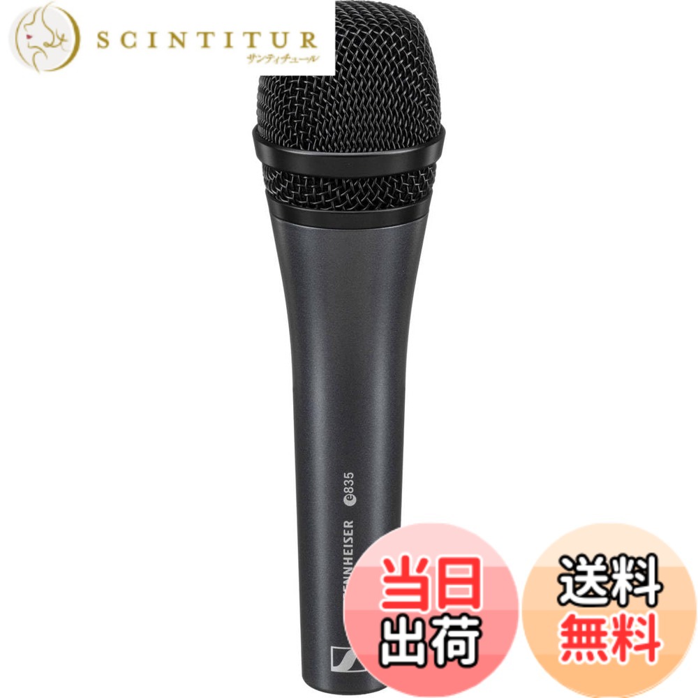 【貨物輸送無料】Sennheiser ゼンハイザー e 800 続きもの 色：濃灰色