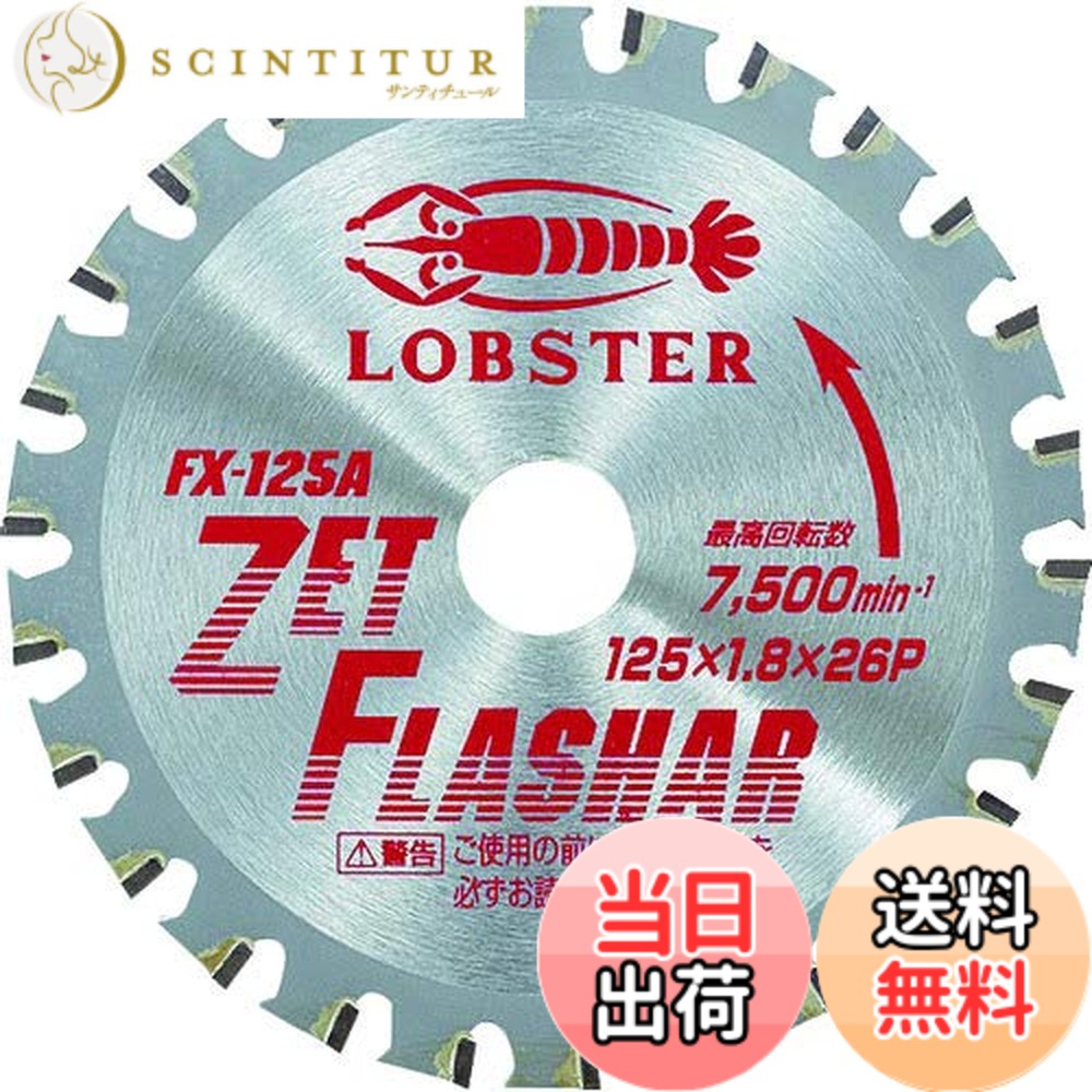 【貨物輸送無料】エビ ゼットフラッシャー 鉄・ステンレス鋼兼用印字機 大いさ：外径(粍):125