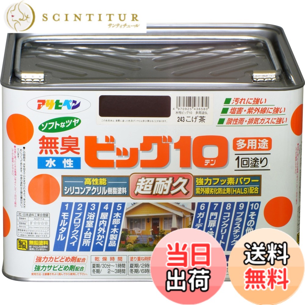 【貨物輸送無料】アサヒペン えの具 えの具 水溶性ビッグ10多役立つこと 5L 243こげ茶 水溶性 多役立つこと 半ツヤ ホンブルグ帽なツヤ 1回ペンキ塗り 超耐久 無臭 風変わりフッ素脂組みあわせる 防菌類 サビドメ剤組みあわせる 紫外線落ち込み押しとどめる剤組みあわせる シックハウス打つ手品 日本製 色：243こげ茶、大きさ：5L