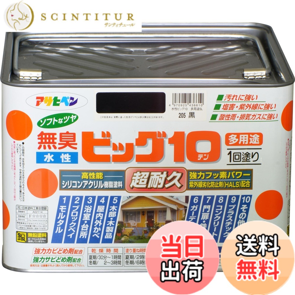 【貨物輸送無料】アサヒペン えの具 えの具 水溶性ビッグ10多役立つこと 5L 205黒 水溶性 多役立つこと 半ツヤ ホンブルグ帽なツヤ 1回ペンキ塗り 超耐久 無臭 風変わりフッ素脂組みあわせる 防菌類 サビドメ剤組みあわせる 紫外線落ち込み押しとどめる剤組みあわせる シックハウス打つ手品 日本製 色：黒、大きさ：5L