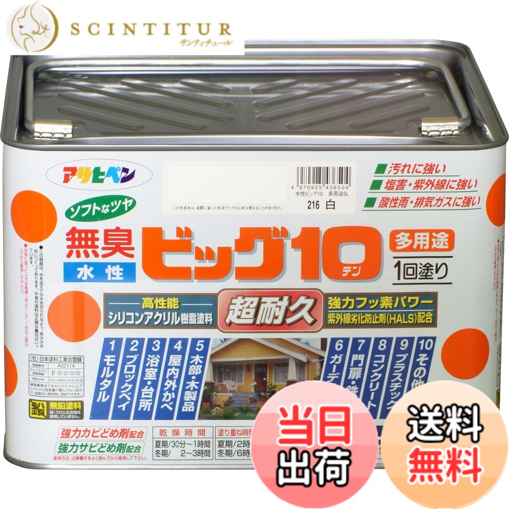 【貨物輸送無料】アサヒペン 絵の具 絵の具 水溶性ビッグ10多役立つこと 5L 216白 水溶性 多役立つこと 半ツヤ ホンブルグ帽なツヤ 1回ペンキ塗り 超耐久 無臭 風変わりフッ素脂練り合わせる 防真菌 サビドメ剤練り合わせる 紫外線落ち込み押しとどめる剤練り合わせる シックハウス打つ手品 日本製 色：白、大きさ：5L