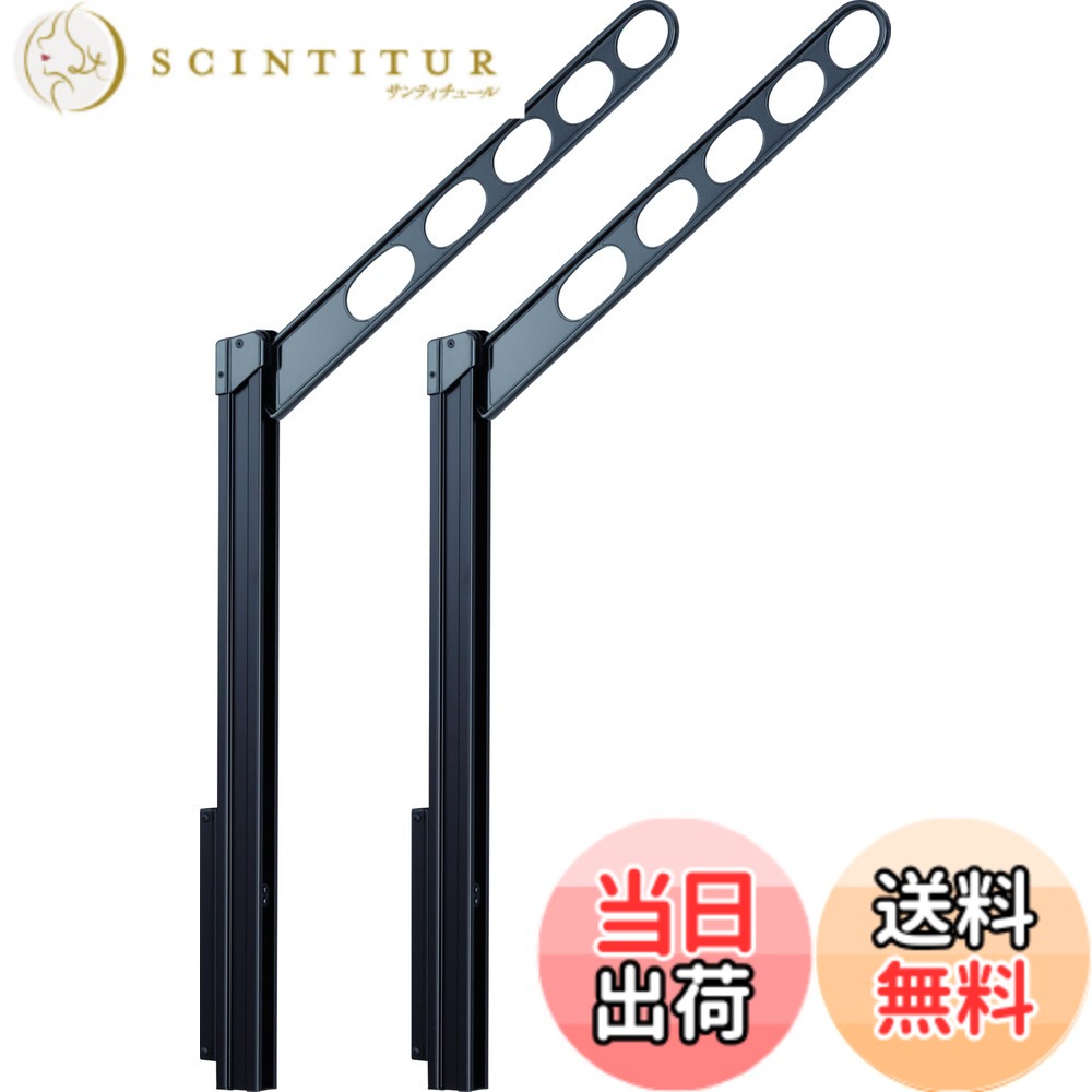 【送料無料】川口技研 腰壁用物干し ホスクリーン GP・GPL 色：ダークブロンズ、サイズ：アーム:55cm｜サンティチュール