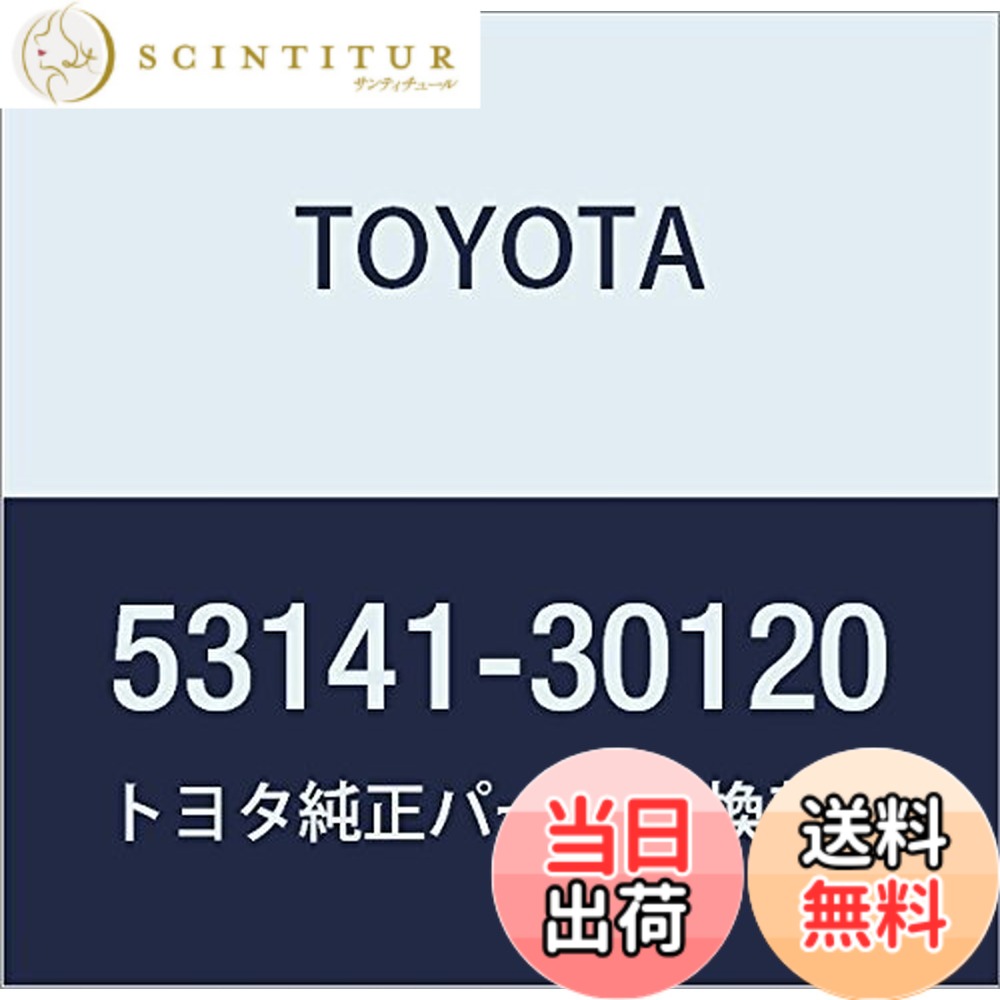 【送料無料】TOYOTA (トヨタ) 純正部品 ラジエータ グリル (フロントパネル) エンブレム 色:グレー、サイズ:マジェスタ|サンティチュール