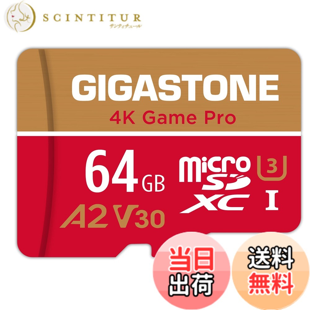 【貨物輸送無料】GIGASTONE マイクロsd歌留多 1結核症-4-1 Core Group 色：64GB Game Pro 1枚仕掛ける、大きさ：64GB