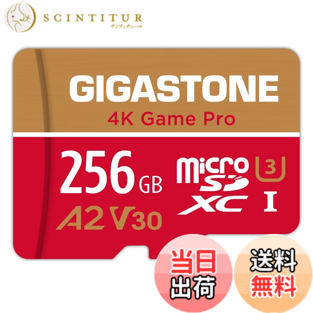 【貨物輸送無料】GIGASTONE マイクロsd歌留多 128-4-1 Core Group 色：256GB Game Pro 1枚仕掛ける、大きさ：4K GAME PRO