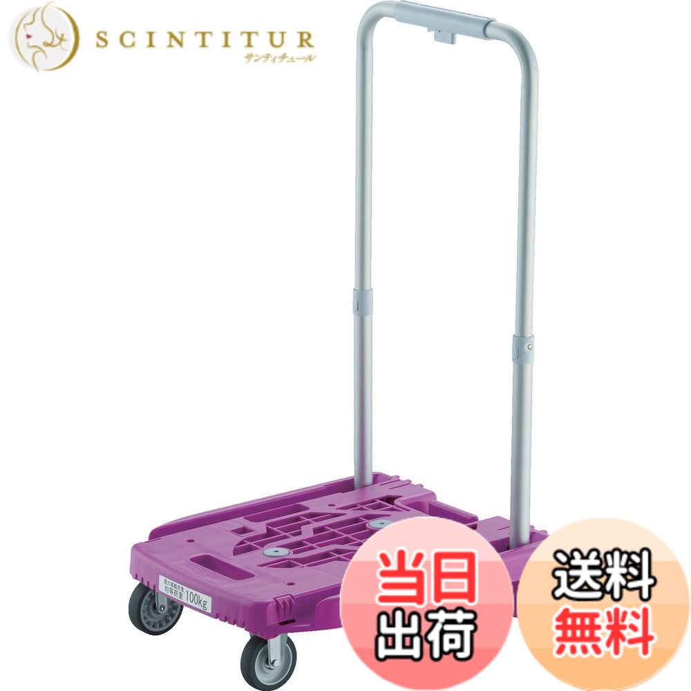 【貨物輸送無料】TRUSCO(トラスコ) 偶像持ちはこび weego 色：ラベンダー、大きさ：小型