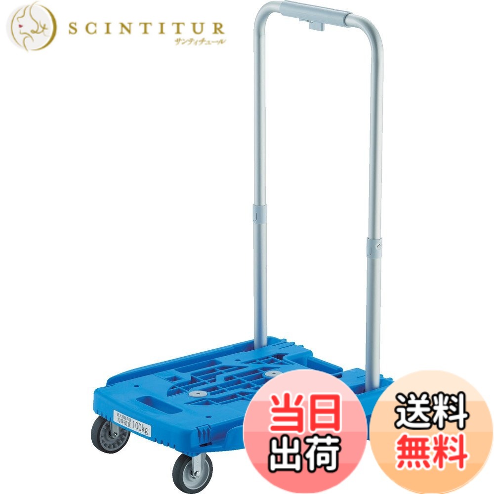 【貨物輸送無料】TRUSCO(トラスコ) 偶像持ちはこび weego 色：青み、大きさ：小型