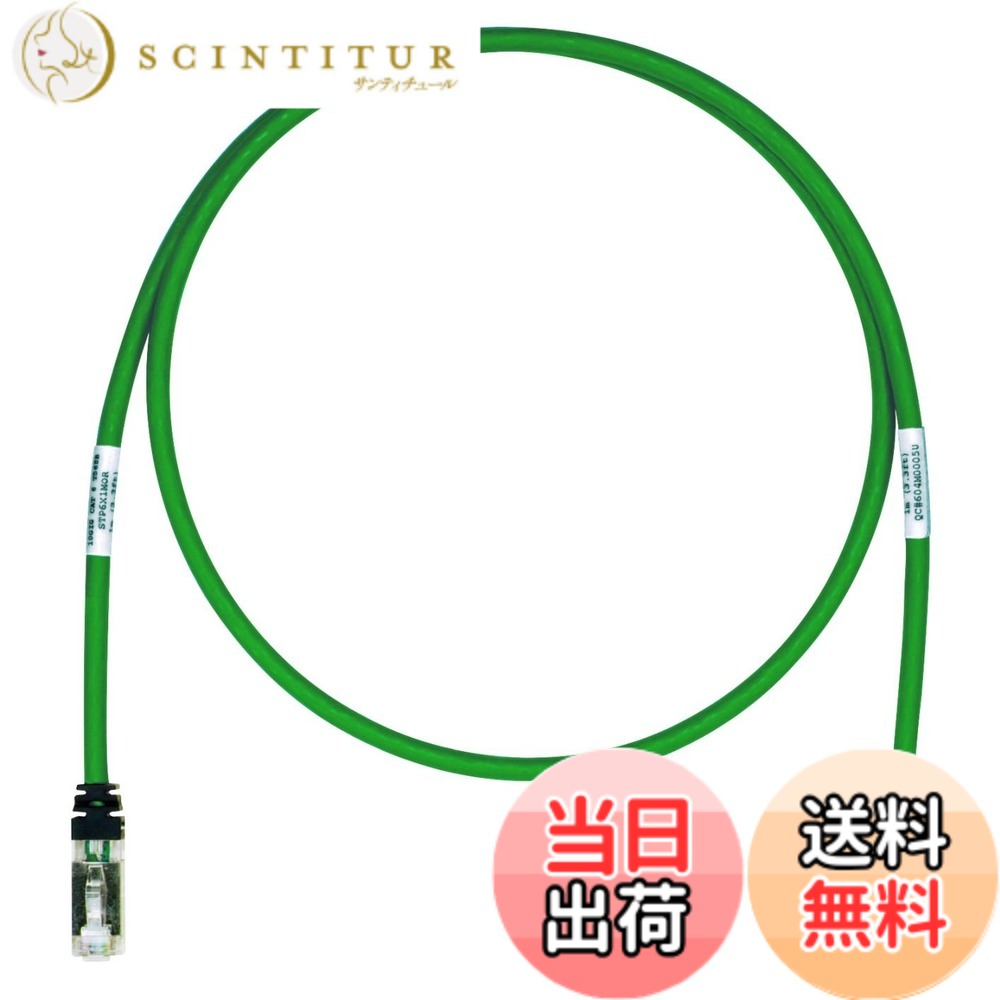 【貨物輸送無料】パンドウイット 遮蔽物 ローカルエリアネットワーク有線テレビ CAT6A 労働者階級遣りくち 各色 STP6X 色：緑、大きさ：15m