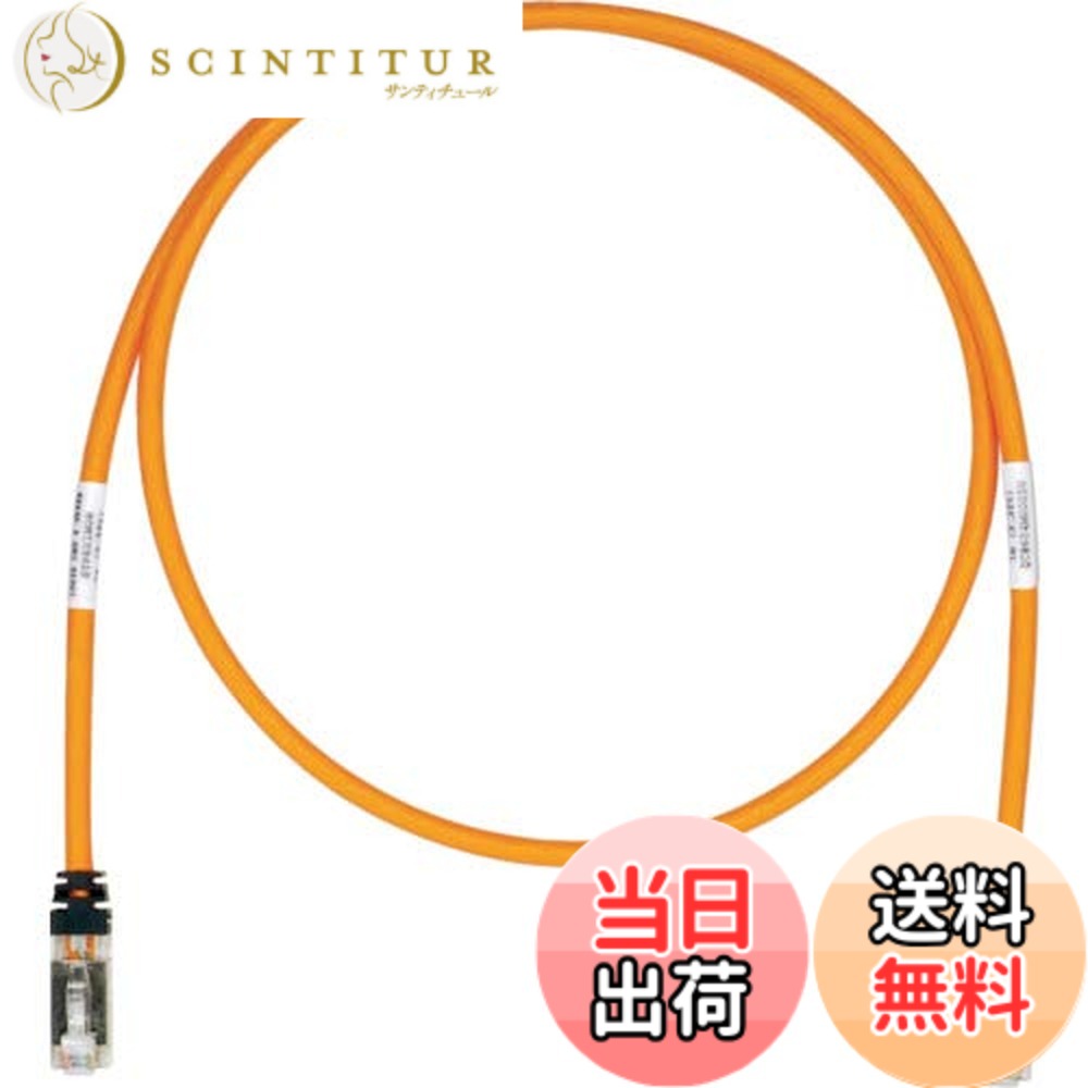 【送料無料】パンドウイット シールド LANケーブル CAT6A プロ仕様 各色 STP6X 色:オレンジ、サイズ:15m|サンティチュール