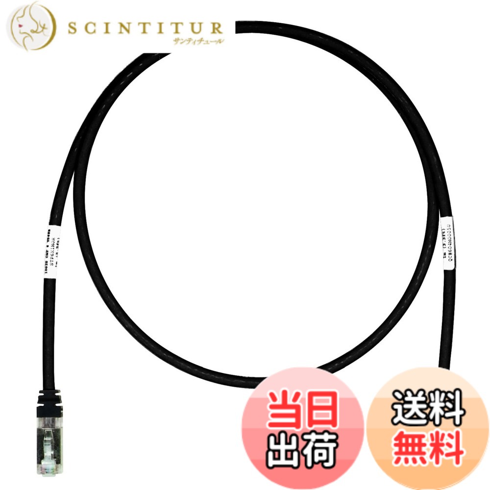 【貨物輸送無料】パンドウイット 遮蔽物 ローカルエリアネットワーク有線テレビ CAT6A 労働者階級遣りくち 各色 STP6X 色：黒、大きさ：10m