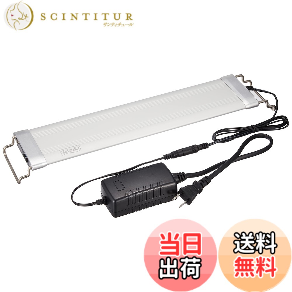 【貨物輸送無料】テトラ (Tetra) 海洋博物館 力強さLED割り増し金 大きさ：M