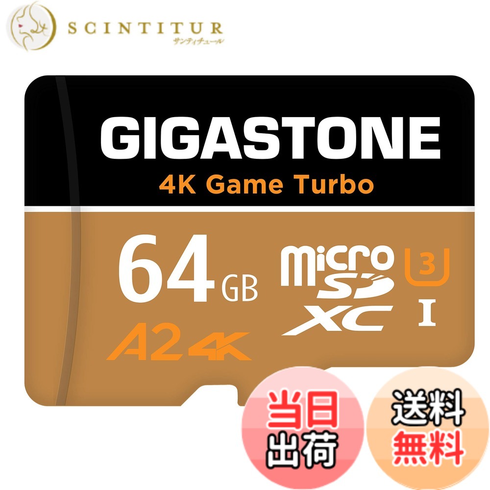 【貨物輸送無料】GIGASTONE マイクロsd歌留多 Blackgold 2026 Group 1 色：64GB Game Turbo 1-Pack、大きさ：Game Turbo