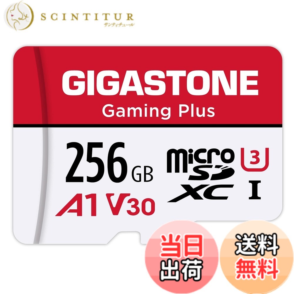 【貨物輸送無料】GIGASTONE マイクロsd歌留多 256-2-1 Core Group 色：256GB Gaming Plus 1枚仕掛ける