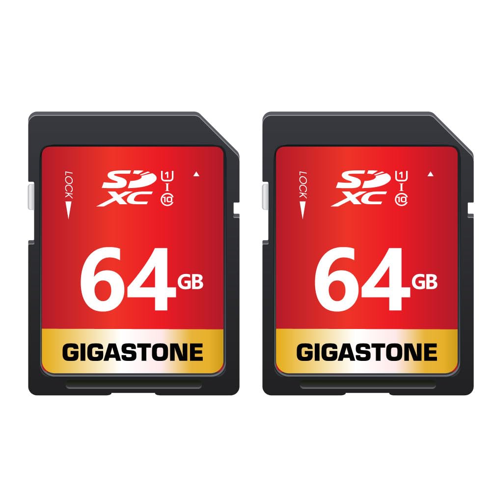 【貨物輸送無料】SD Card 256-1-1 Core Group 色：64GB Full 固定ディスク 2枚仕掛ける、大きさ：64GB FULL 固定ディスク