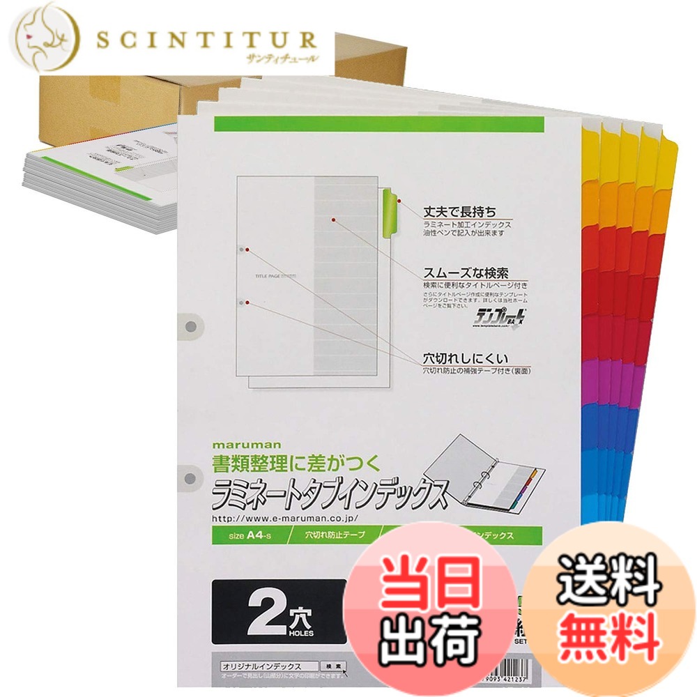 【貨物輸送無料】マルマン ラミネートタブ 総目録 A4 2穴 色：多色 (Multi-color)、大いさ：12山