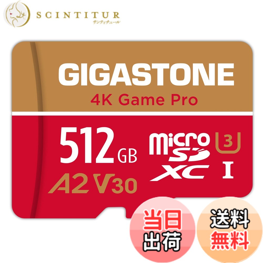 【貨物輸送無料】GIGASTONE マイクロsd歌留多RedGold 0408 GP 3 色：512GB Game Pro 1枚仕掛ける、大きさ：512GB Game Pro 1枚仕掛ける