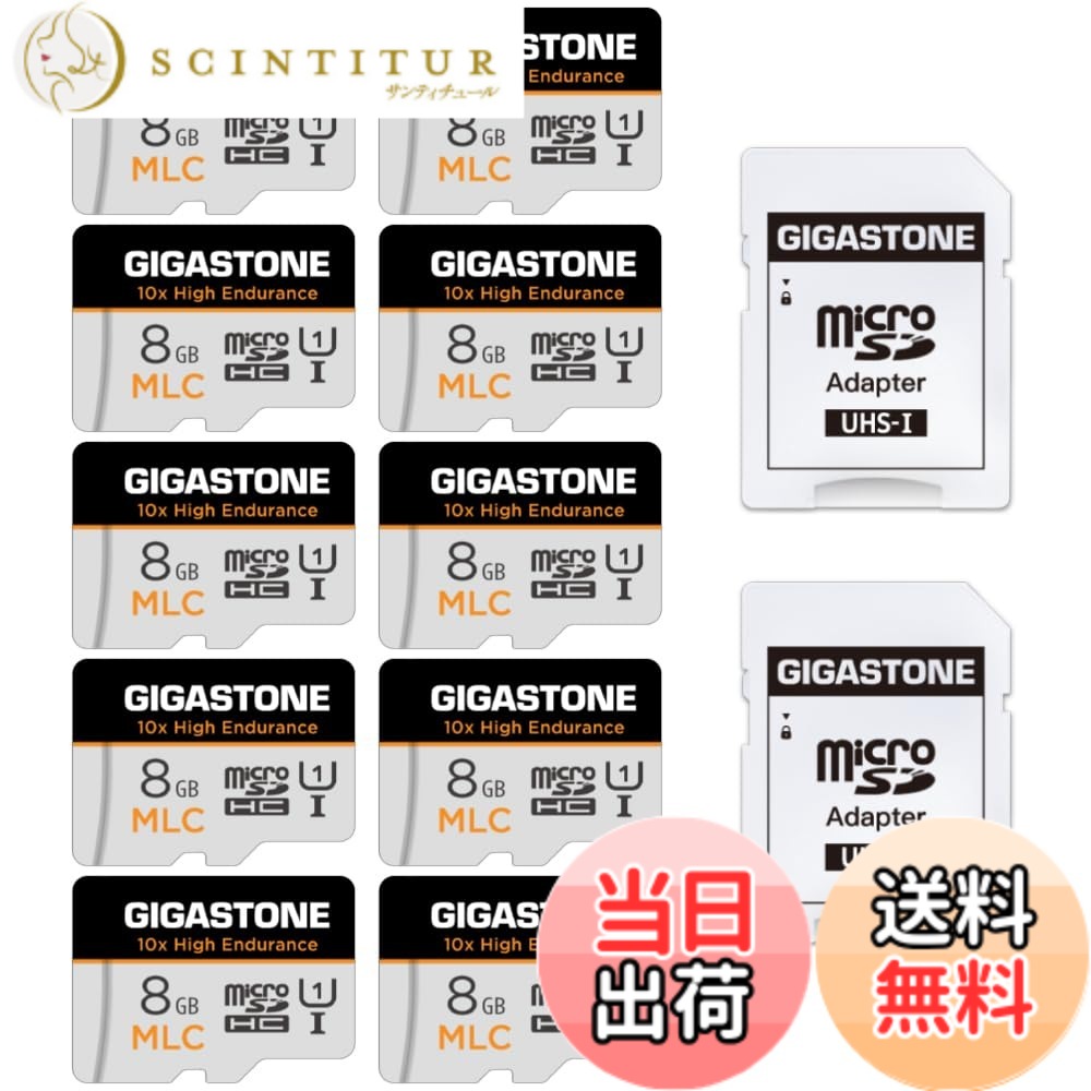 【貨物輸送無料】MSD-High Endurance Group 1 色：8GB High Endurance 10-Pack