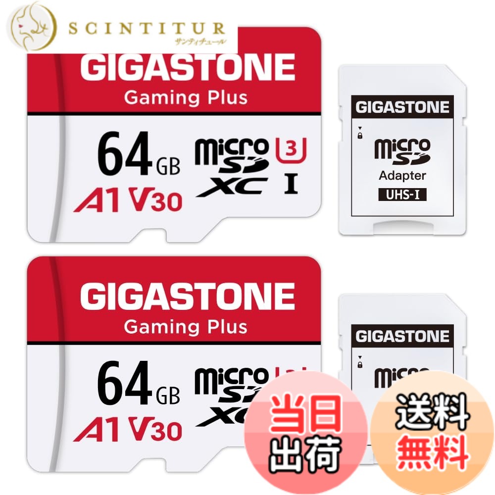 【貨物輸送無料】GIGASTONE マイクロsd歌留多 256-2-1 Core Group-Redwhite 色：64GB Gaming Plus 2枚仕掛ける、大きさ：64GB Gaming Plus 2枚仕掛ける