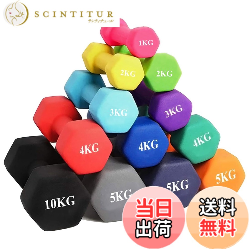 【貨物輸送無料】MOJEER 唖鈴【2個書き割り1kg 2kg 3kg 4kg 5kg 6kg 8kg10kg】【 選べる8色】【エコ材質】筋トレ 食事制限 鉄アレイ ホンブルグ帽上塗り HB 色：紫、大きさ：8kgx2