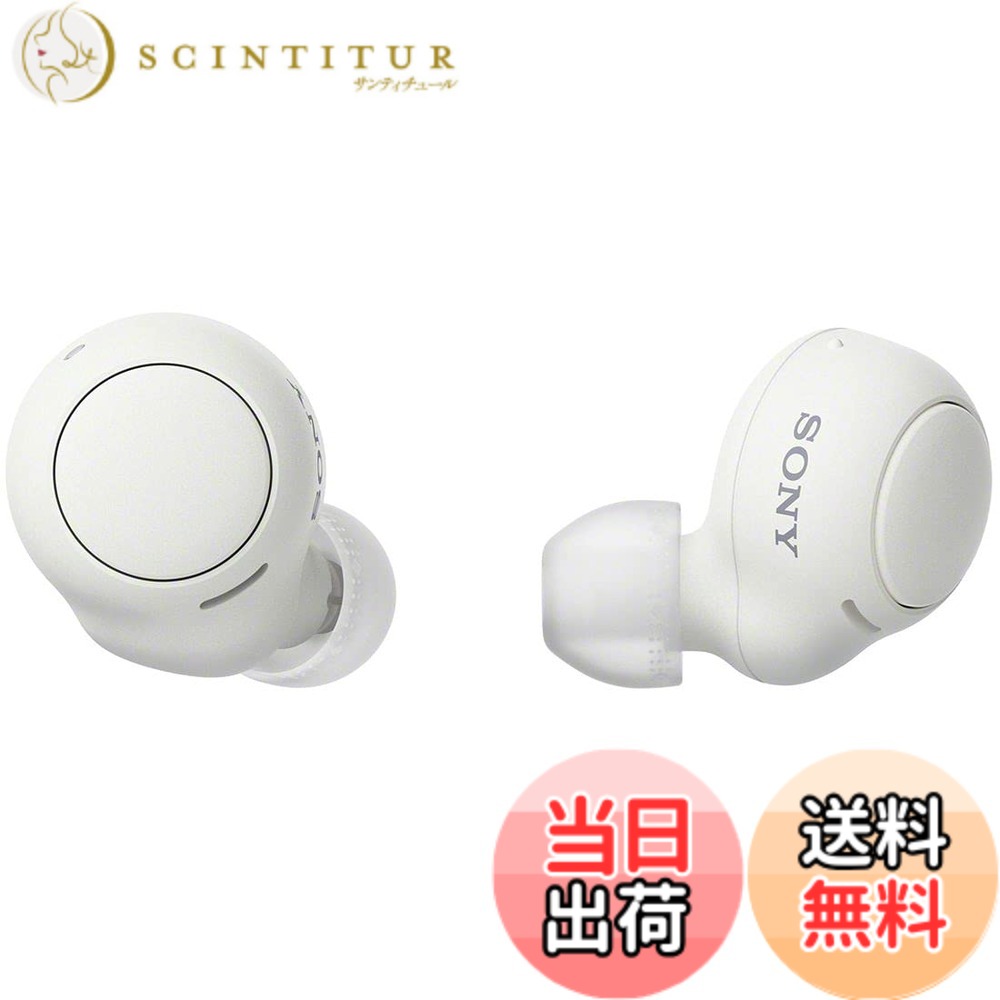 【送料無料】ソニー(SONY) 完全ワイヤレスイヤホン WF-C500/WF-C510 :/高精度通話品質/IPX4防滴性能 色:ホワイト、サイズ:超小型|サンティチュール