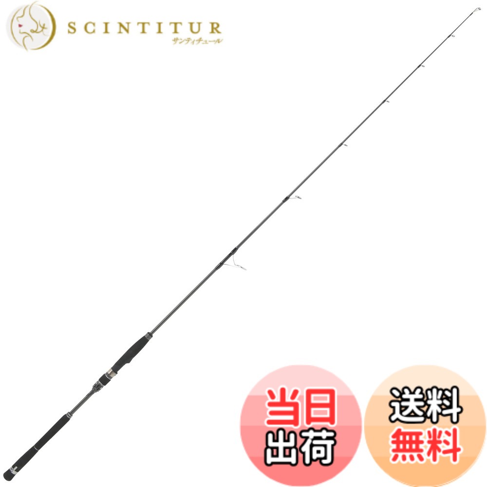 【貨物輸送無料】アブガルシア (Abu Garcia) SaltyStagePrototype (ソルティーステージプロトタイプ) ジギング 各種 色：黒いこと、大きさ：スピニング:6.3-1番:最大限度180g厄介なもの