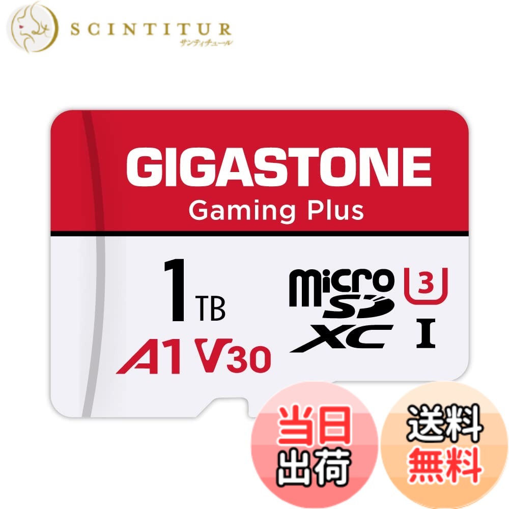 【貨物輸送無料】GIGASTONE マイクロsd歌留多 1結核症-2-1 Core Group 色：1結核症 Gaming Plus 1枚仕掛ける、大きさ：1結核症