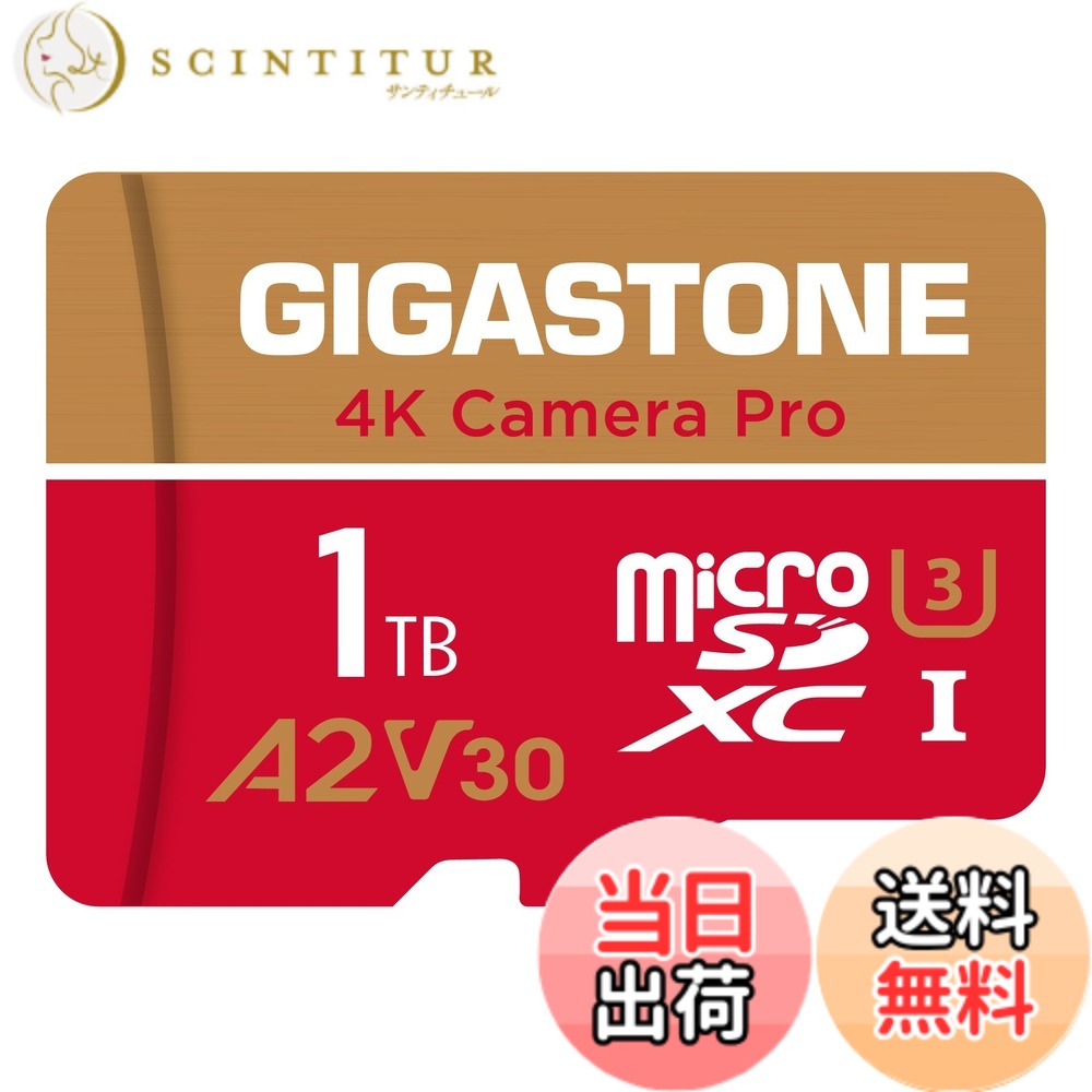 【貨物輸送無料】GIGASTONE マイクロsd歌留多 1結核症-4-1 Core Group 色：1結核症 Camera Pro 1枚仕掛ける、大きさ：Pro Series