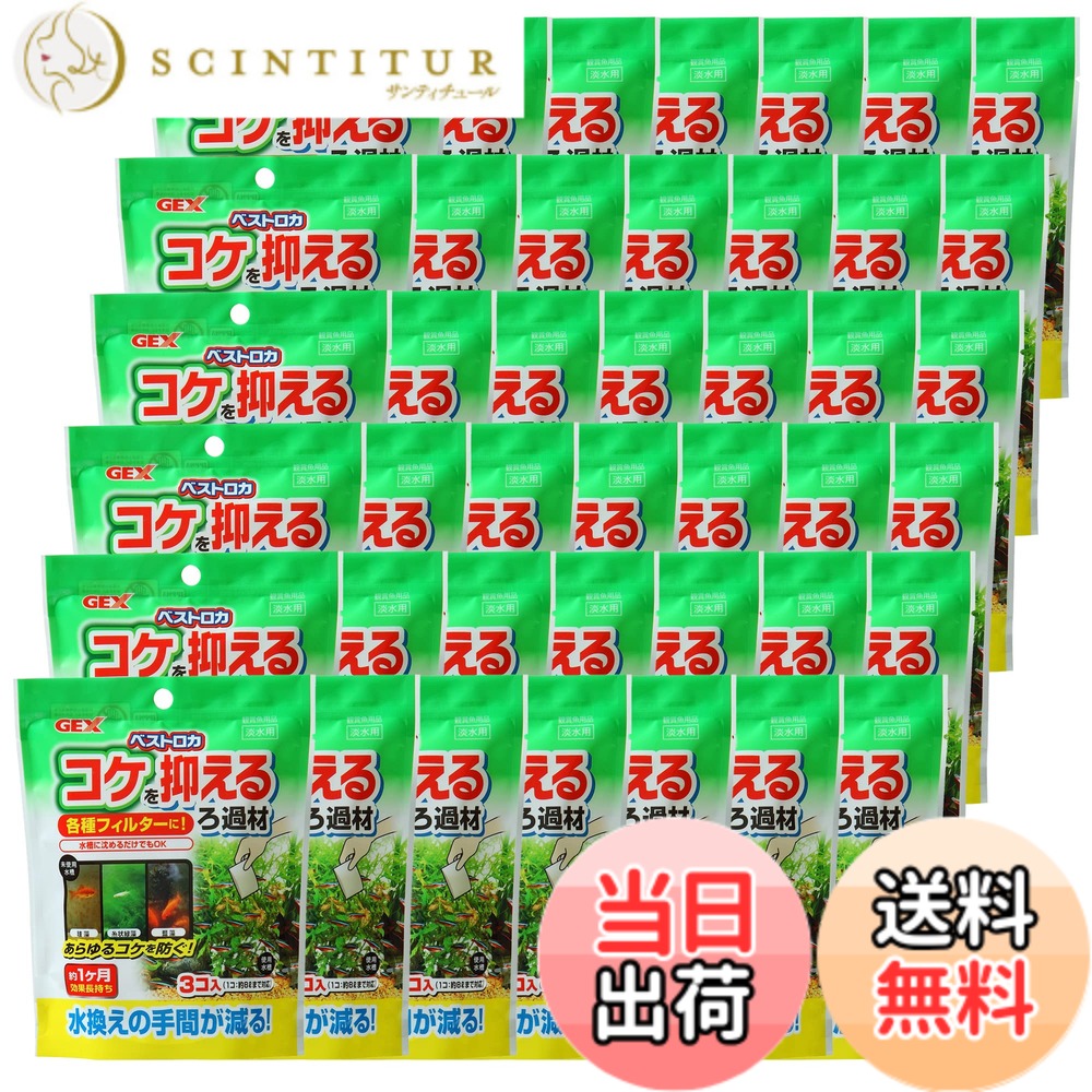【貨物輸送無料】ジェックス ベストロカ 蘚苔を抑える濾す材