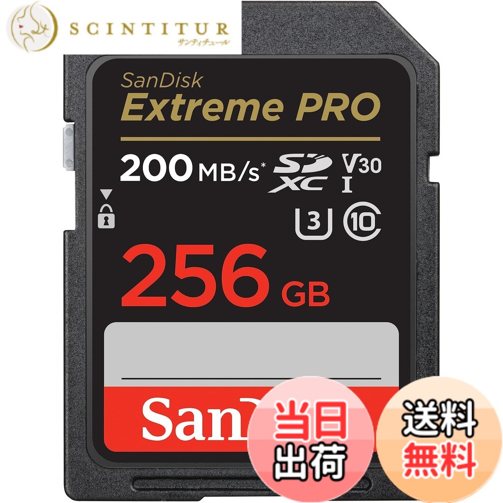 【貨物輸送無料】SanDisk 色：うす暗い薄墨色/黒いこと。、大きさ：256GB