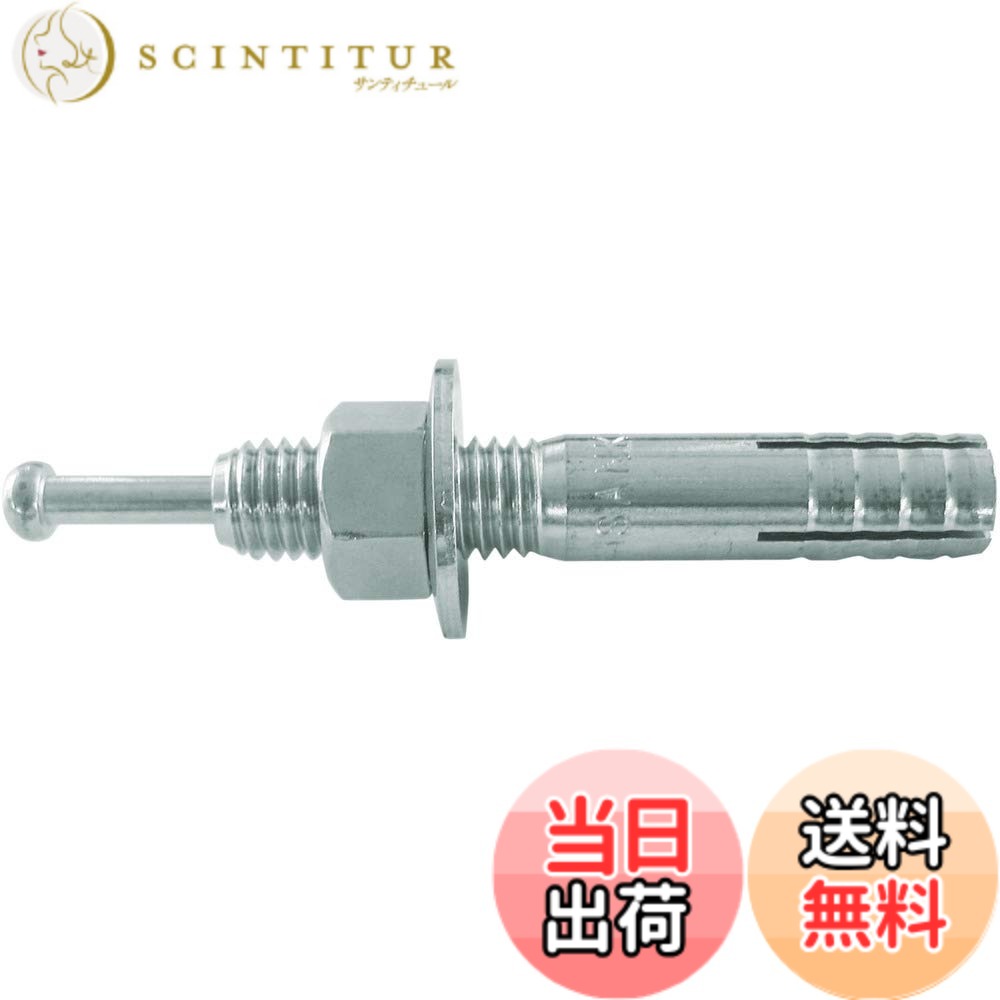 【送料無料】TRUSCO(トラスコ) オールアンカーCタイプ C-□□□□BT サイズ：M6x60｜サンティチュール