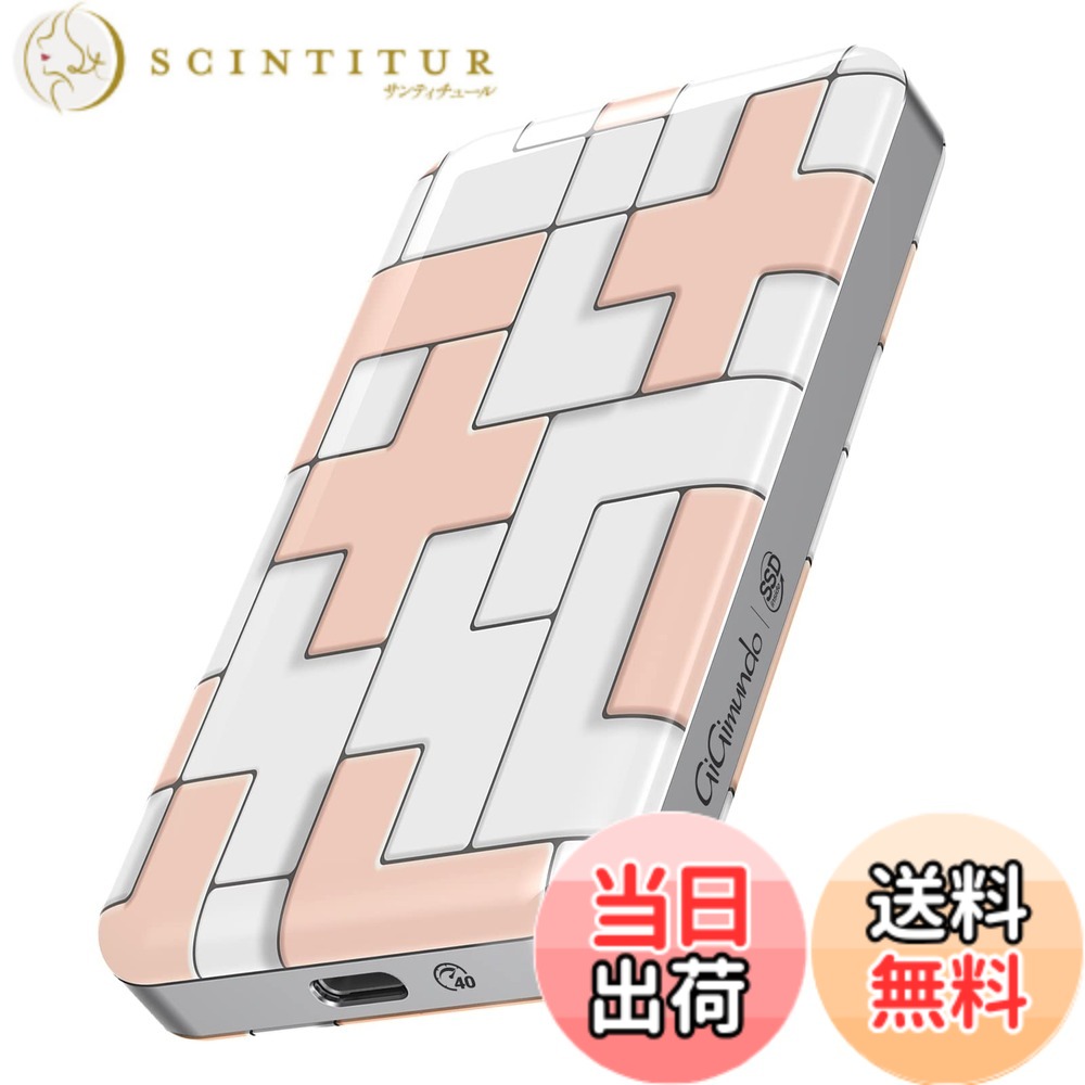 【貨物輸送無料】GiGimundo 携帯型外信用販売SSD 色：40Gbps 2T