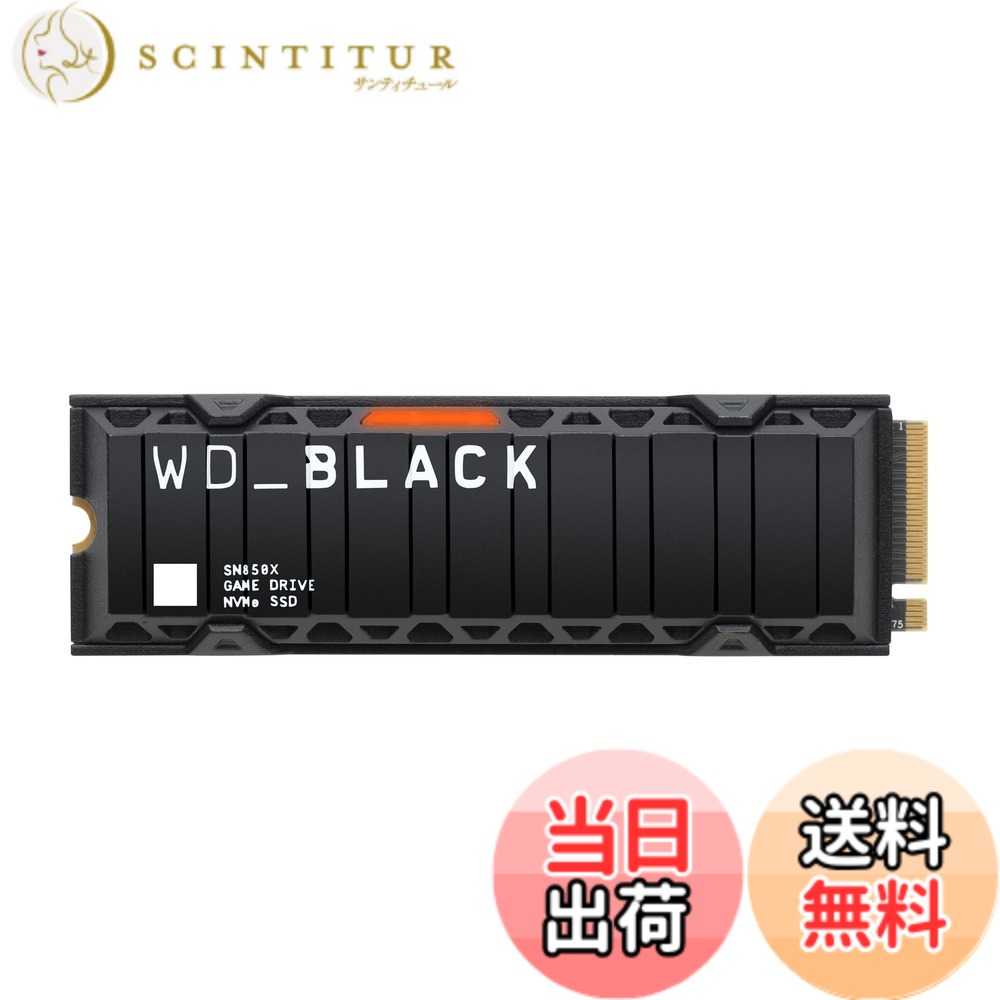 【貨物輸送無料】WD_BLACK 色：黒いこと、大きさ：1結核症