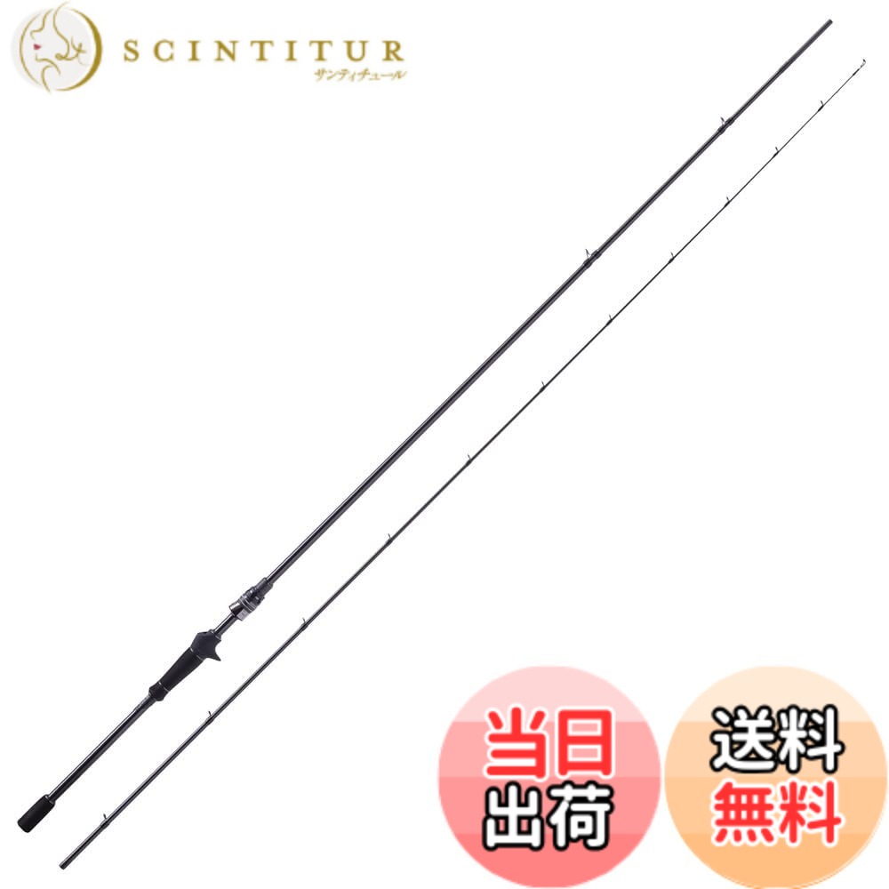 【貨物輸送無料】アブガルシア (Abu Garcia) SaltyStagePrototype (ソルティーステージプロトタイプ) SWベイトフィネス 各種 色：なし、大きさ：8.6MLT-BF(ミィディアムライト-ベイトフィネス)