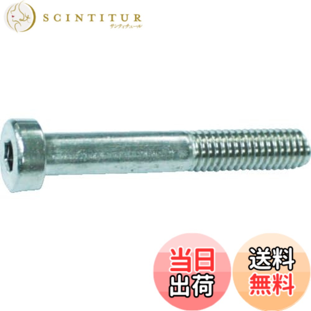 【貨物輸送無料】TRUSCO(トラスコ) 御辞儀六角穴付雄捩子 ステンレス鋼 大きさ：M4x25