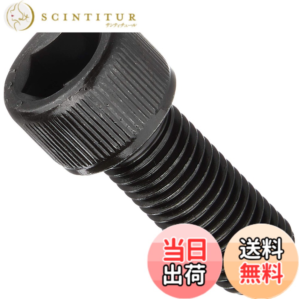 【貨物輸送無料】TRUSCO(トラスコ) 六角穴付雄捩子 黒染め 大きさ：M16x40