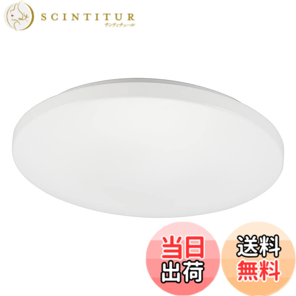 【貨物輸送無料】オーム電機 LED最高限度ともし火 色：昼光色、大きさ：8畳用