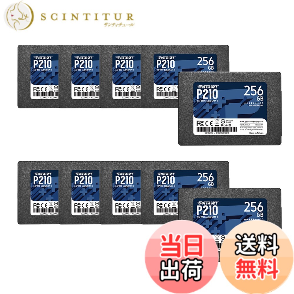 【貨物輸送無料】Patriot P210 Parent Solid State Drive SSD 色：黒いこと、大きさ：256GB 10 Pack