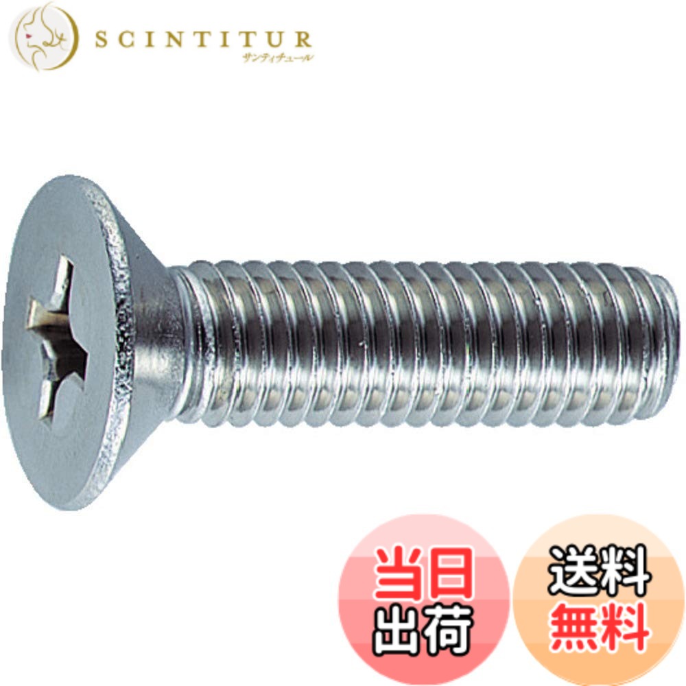 【送料無料】TRUSCO(トラスコ) 皿頭小ネジ 全ネジ サイズ：M3x6｜サンティチュール